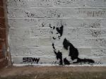 Stewy - Dissenting Academy Salford